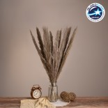 GloboStar® PAMPASGRASS 36511 Αποξηραμένο Φυτό Γρασίδι της Πάμπας - Μπουκέτο Διακοσμητικών Κλαδιών Καφέ - Γκρι Υ80cm