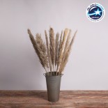 GloboStar® PAMPASGRASS 36513 Αποξηραμένο Φυτό Γρασίδι της Πάμπας - Μπουκέτο Διακοσμητικών Κλαδιών Καφέ - Γκρι Υ120cm