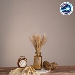 GloboStar® MISCANTHUS 36534 Αποξηραμένο Φυτό Μίσχανθος - Μπουκέτο Διακοσμητικών Κλαδιών Μπεζ Υ40cm