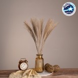 GloboStar® MISCANTHUS 36535 Αποξηραμένο Φυτό Μίσχανθος - Μπουκέτο Διακοσμητικών Κλαδιών Μπεζ Υ60cm