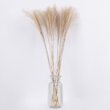 GloboStar® MISCANTHUS 36536 Αποξηραμένο Φυτό Μίσχανθος - Μπουκέτο Διακοσμητικών Κλαδιών Μπεζ Υ80cm