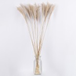 GloboStar® MISCANTHUS 36537 Αποξηραμένο Φυτό Μίσχανθος - Μπουκέτο Διακοσμητικών Κλαδιών Μπεζ Υ100cm