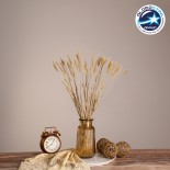 GloboStar® FOUNTAINGRASS 36542 Αποξηραμένο Φυτό Πεννίζετο - Μπουκέτο Διακοσμητικών Κλαδιών Μπεζ - Πράσινο Υ60cm