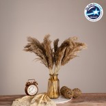 GloboStar® PAMPASGRASS 36544 Αποξηραμένο Φυτό Γρασίδι της Πάμπας - Μπουκέτο Διακοσμητικών Κλαδιών Μπεζ - Καφέ Υ60cm