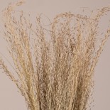 GloboStar® SILVERHAIRGRASS 36545 Αποξηραμένο Φυτό Ασημένια Χλόη - Μπουκέτο Διακοσμητικών Κλαδιών Μπεζ Υ60cm