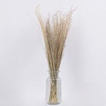 GloboStar® SILVERHAIRGRASS 36545 Αποξηραμένο Φυτό Ασημένια Χλόη - Μπουκέτο Διακοσμητικών Κλαδιών Μπεζ Υ60cm