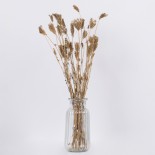 GloboStar® WILDCARROT 36546 Αποξηραμένο Φυτό Άγριο Καρότο - Μπουκέτο Διακοσμητικών Κλαδιών Μπεζ Υ60cm