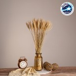 GloboStar® BARLEY 36551 Αποξηραμένο Φυτό Κριθάρι - Μπουκέτο Διακοσμητικών Κλαδιών Μπεζ Υ60cm