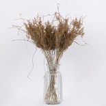 GloboStar® FERNGRASS 36556 Αποξηραμένο Φυτό Φτερόχορτο - Μπουκέτο Διακοσμητικών Κλαδιών Μπεζ Υ60cm