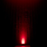 GloboStar® TREELIGHT-ZINA S-90998 Κυρτή Μπάρα Φωτισμού Wall Washer με Αντιθαμβωτική Γρίλια Ειδική για Φυτά - Δέντρα LED 3W 240lm 30° DC 24V Αδιάβροχο IP65 Μ9 x Π6.5 x Υ4cm Κόκκινο - Γκρι Ανθρακί - 3 Years Warranty