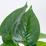 GloboStar® POTHOS 78266 Τεχνητό Φυτό Πόθος - Μπουκέτο Διακοσμητικών Φυτών - Κλαδιών με Φύλλωμα Πράσινο Υ28cm