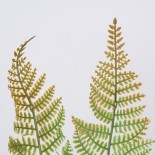 GloboStar® FERN 78269 Τεχνητό Φυτό Φτέρη - Μπουκέτο Διακοσμητικών Φυτών - Κλαδιών με Φύλλωμα Πράσινο - Καφέ Υ45cm