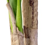 GloboStar® Artificial Garden BANANA TREE 20017 - Tεχνητό Διακοσμητικό Φυτό Μπανανιά - Μπανανόδεντρο Υ180cm
