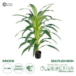 GloboStar® Artificial Garden BRAZILIAN IRON 20020 Τεχνητό Διακοσμητικό Φυτό Αρωματική Δράκαινα Υ140cm