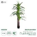 GloboStar® Artificial Garden BRAZILIAN IRON 20021 Τεχνητό Διακοσμητικό Φυτό Αρωματική Δράκαινα Υ180cm