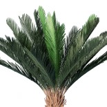 GloboStar® Artificial Garden CYCADS 20023 Τεχνητό Διακοσμητικό Φυτό Αρωματική Κύκας Υ140cm 