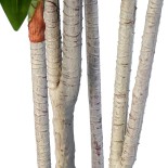 GloboStar® Artificial Garden DRACAENA SILK 20044 Τεχνητό Διακοσμητικό Φυτό Δράκαινα Υ170cm 