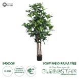 GloboStar® Artificial Garden FORTUNE GUIANA TREE 20056 Τεχνητό Διακοσμητικό Φυτό Καστανιά του Μαλαμπάρ Υ160cm 