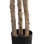 GloboStar® Artificial Garden FORTUNE GUIANA TREE 20056 Τεχνητό Διακοσμητικό Φυτό Καστανιά του Μαλαμπάρ Υ160cm 