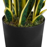 GloboStar® Artificial Garden BLOODLEAF DRACAENA TRIFASCIATA 20060 Τεχνητό Διακοσμητικό Φυτό Αιματόφυλλη Σανσεβιέρια Υ70cm