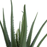 GloboStar® Artificial Garden ALOE 20065 Τεχνητό Διακοσμητικό Φυτό Αλόη Υ50cm 