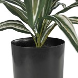 GloboStar® Artificial Garden BRAZILIAN IRON 20083 Τεχνητό Διακοσμητικό Φυτό Αρωματική Δράκαινα Υ30cm 