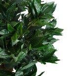 GloboStar® Artificial Garden LAUREL 20085 Τεχνητό Διακοσμητικό Φυτό Δάφνη Υ150cm 