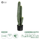 GloboStar® Artificial Garden CARNEGIEA CACTUS 20121 Τεχνητό Διακοσμητικό Φυτό Κάκτος Σαγκουάρο Υ80cm