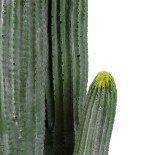 GloboStar® Artificial Garden CARNEGIEA CACTUS 20121 Τεχνητό Διακοσμητικό Φυτό Κάκτος Σαγκουάρο Υ80cm