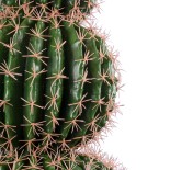 GloboStar® Artificial Garden FEROCACTUS 20138 Τεχνητό Διακοσμητικό Φυτό Φερόκακτος Υ95cm 