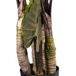 GloboStar® Artificial Garden RAINBOW TARO 20207 Τεχνητό Διακοσμητικό Φυτό Κολοκασία Υ170cm