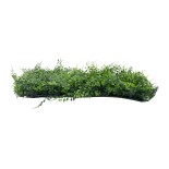 GloboStar® 78413 Artificial - Συνθετικό Τεχνητό Διακοσμητικό Πάνελ Φυλλωσιάς - Κάθετος Κήπος Λέιλαντ - Νάνος Κισσός Πράσινο Μ60 x Υ40 x Π9cm