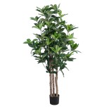 GloboStar® Artificial Garden FORTUNE GUIANA TREE 20056 Τεχνητό Διακοσμητικό Φυτό Καστανιά του Μαλαμπάρ Υ160cm 