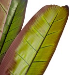 GloboStar® Artificial Garden BLOODY BANANA TREE 20118 Τεχνητό Διακοσμητικό Φυτό Αιματόφυλλη Μπανανιά - Μπανανόδεντρο Υ190cm 