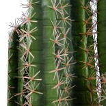 GloboStar® Artificial Garden PACHYCEREUS CACTUS 20127 Τεχνητό Διακοσμητικό Φυτό Κάκτος Παχυκηρίος Υ110cm 