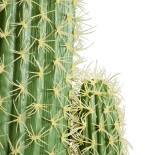 GloboStar® Artificial Garden TRICHOCEREEAE CACTUS 20132 Τεχνητό Διακοσμητικό Φυτό Κλειστόκακτος Υ140cm