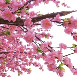 GloboStar® Artificial Garden PEACH BLOSSOM TREE 20159 Τεχνητό Διακοσμητικό Δέντρο Ανθισμένη Ροδακινιά Υ340cm 