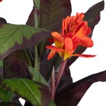 GloboStar® Artificial Garden CANNA INDICA 20209 Τεχνητό Διακοσμητικό Φυτό Ινδική Κάννα Υ160cm