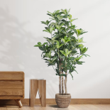 GloboStar® Artificial Garden FORTUNE GUIANA TREE 20056 Τεχνητό Διακοσμητικό Φυτό Καστανιά του Μαλαμπάρ Υ160cm 