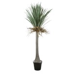 GloboStar® Artificial Garden BEAUCARNEA PALM TREE 20047 Τεχνητό Διακοσμητικό Φυτό Κυρτόφυλλος Μπουκαρνέα Υ200cm 