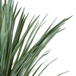 GloboStar® Artificial Garden BEAUCARNEA PALM TREE 20047 Τεχνητό Διακοσμητικό Φυτό Κυρτόφυλλος Μπουκαρνέα Υ200cm 