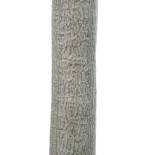 GloboStar® Artificial Garden BEAUCARNEA PALM TREE 20047 Τεχνητό Διακοσμητικό Φυτό Κυρτόφυλλος Μπουκαρνέα Υ200cm 