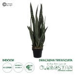 GloboStar® Artificial Garden DRACAENA TRIFASCIATA 20063 Τεχνητό Διακοσμητικό Φυτό Σανσεβιέρια Υ90cm