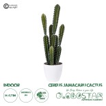 GloboStar® Artificial Garden CEREUS JAMACARU CACTUS 20095 Τεχνητό Διακοσμητικό Φυτό Κάκτος Κηρίος Υ71cm