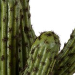 GloboStar® Artificial Garden CARNEGIEA CACTUS 20100 Τεχνητό Διακοσμητικό Φυτό Κάκτος Σαγκουάρο Υ63cm