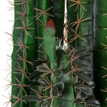 GloboStar® Artificial Garden MYRTILLOCACTUS 20128 Τεχνητό Διακοσμητικό Φυτό Μυρτιλλόκακτος Υ150cm