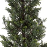 GloboStar® Artificial Garden LEMON CYPRESS 20153 Τεχνητό Διακοσμητικό Φυτό Λεμονόκυπάρισσο Υ180cm 