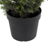 GloboStar® Artificial Garden LEMON CYPRESS 20153 Τεχνητό Διακοσμητικό Φυτό Λεμονόκυπάρισσο Υ180cm 