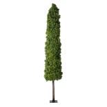 GloboStar® Artificial Garden BUXUS 20158 Τεχνητό Διακοσμητικό Φυτό Πυξός Υ250cm 
