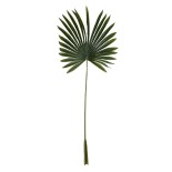 GloboStar® Artificial Garden SERENOA PALM LEAF 20173 Τεχνητό Διακοσμητικό Φύλο Φοινικόδεντρου Σερενόα Βεντάλια Π47 x Υ120cm 